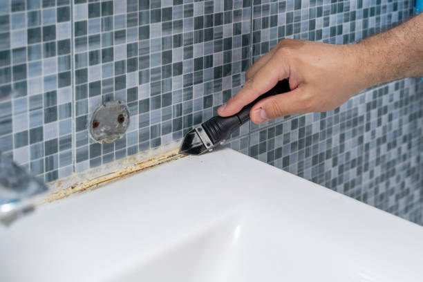 Best DIY Mold Remediation Support Services in South Les, AK